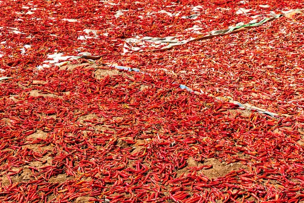 Acı biber kurutma detayı, Myanmar