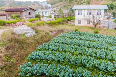 Kalaw ve Inle, Myanmar arasındaki bölgede küçük bir köy
