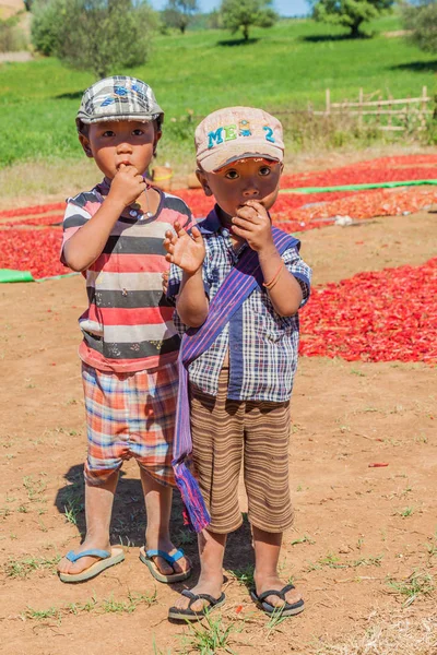 Kalaw Myanmar Noviembre 2016 Niños Aldea Chiles Secos Zona Entre —  Fotos de Stock