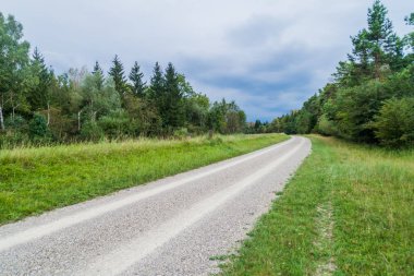 Stadtwald'daki toprak yol (Şehir Ormanı) Augsburg, Almanya