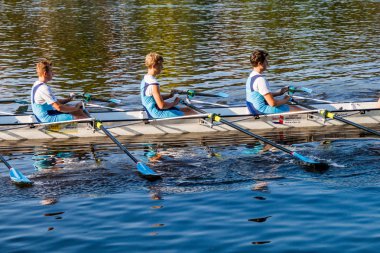 Brandys Nad Labem, Çekya - 11 Eylül 2016: Labe (Elbe) nehri üzerinde, Brandys nad Labem, Çekya'da gençler kürek yarışı