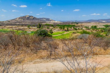 Paraiba eyaletinin orta kesiminde peyzaj, Brezilya