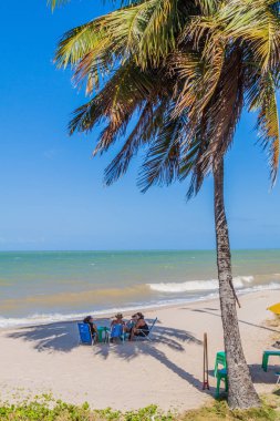 Joao Pessoa, Brezilya - 15 Ekim 2016: Joao Pessoa, Brezilya'da bir plajda palmiyeler