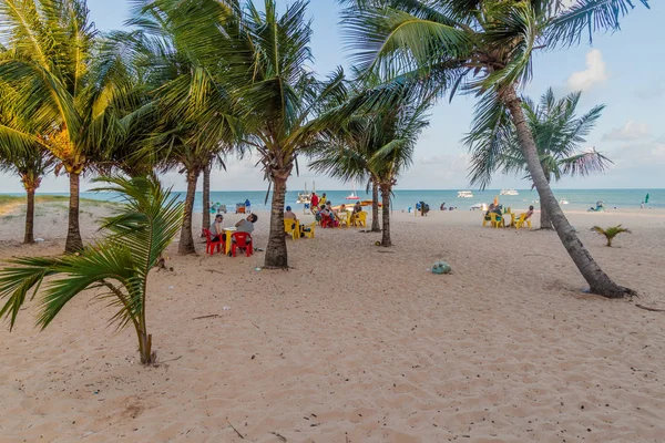 巴西若昂佩索亚 2016年10月9日 巴西若昂佩索阿海滩的棕榈 — 图库照片