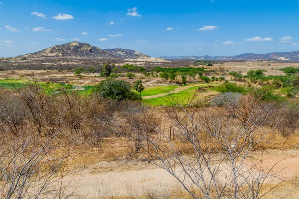 Paraiba eyaletinin orta kesiminde peyzaj, Brezilya