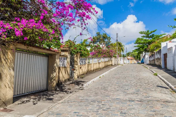 巴西若昂佩索阿历史中心的街道 — 图库照片