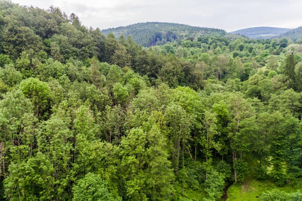 Het Landschap Van Ertsgebergte Krusne Hory Tsjechische Republiek — Stockfoto