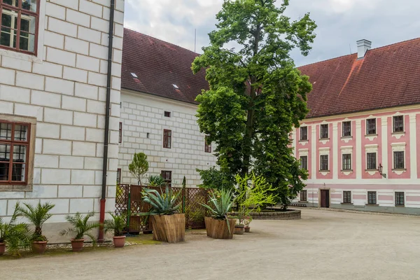 Partie Château Trebon République Tchèque — Photo