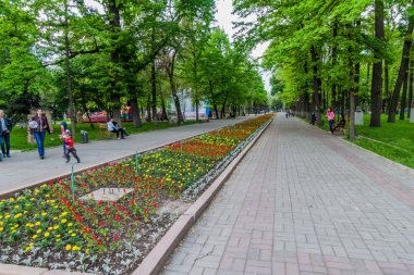 Bişkek, Kırgızistan - 6 Mayıs 2017: Kırgızistan'ın başkenti Bişkek'teki Meşe parkında yol.
