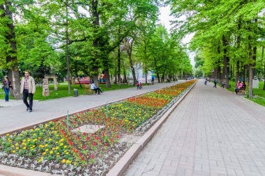 Bişkek, Kırgızistan - 6 Mayıs 2017: Kırgızistan'ın başkenti Bişkek'teki Meşe parkında yol.