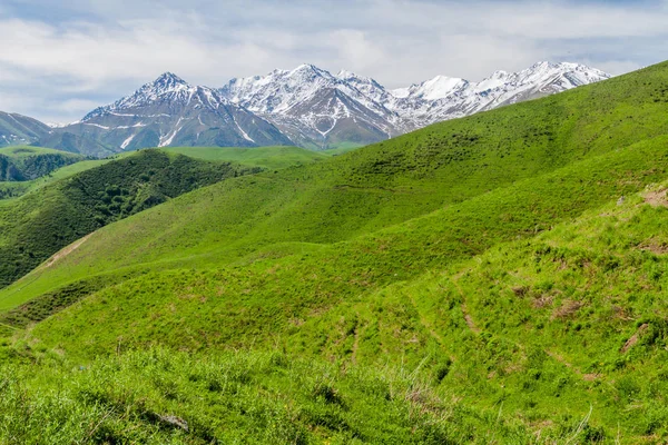 高い山を背景にしたアラメディン渓谷の牧草地 キルギス — ストック写真