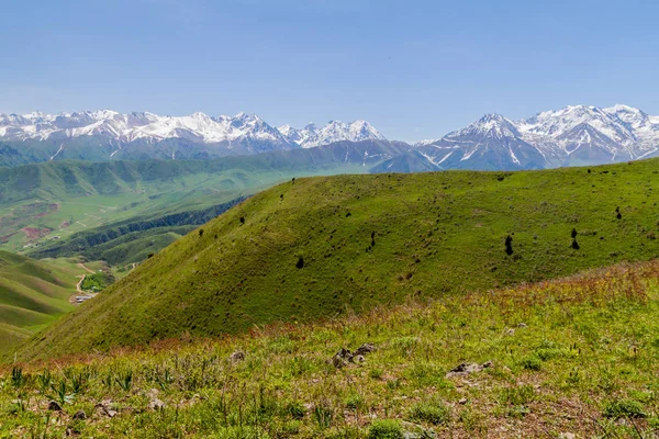 高い雪に覆われた山々の背景を持つアラメディン渓谷の上の緑の牧草地 キルギス — ストック写真