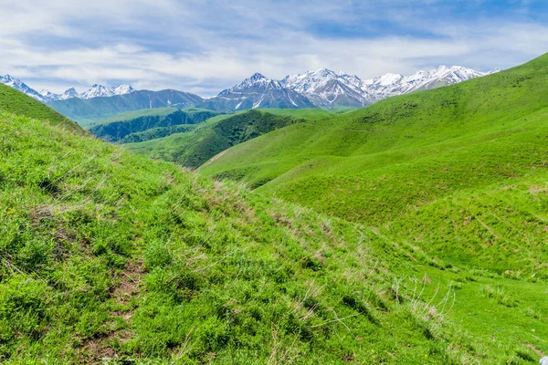 Пастбища Аламединской Долины Высокими Заснеженными Горами Кыргызстан — стоковое фото
