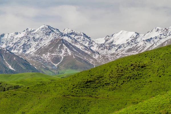 Betesmarker Alamedin Valley Med Höga Berg Bakgrund Kirgizistan — Stockfoto