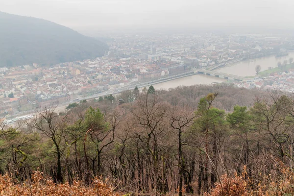 Flygvy Över Heidelberg Dimmig Vinterdag Tyskland — Stockfoto