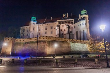 Krakow, Polonya Wawel kale gece görünümü