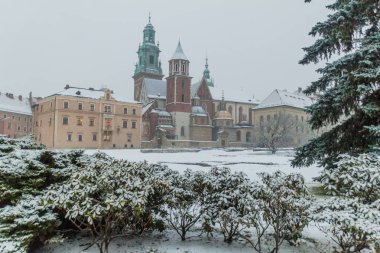 Krakow, Polonya Wawel kale kış görünümü
