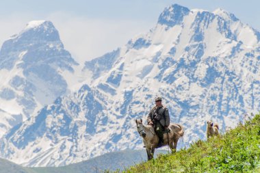 ALAMEDIN, KYRGYZSTAN - MAY 21, 2017: Herdsman on a horse with his dog at a pasture in Alamedin valley. clipart