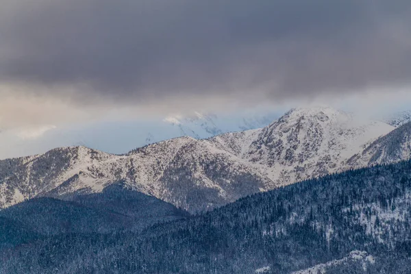 Vista Invernale Dei Monti Tatra Polonia — Foto Stock