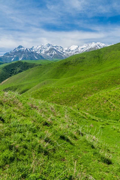 키르기스스탄 알라메딘 계곡의 목초지 — 스톡 사진