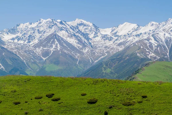 Grüne Weiden Oberhalb Des Alamedin Tals Mit Hohen Schneebedeckten Bergen — Stockfoto