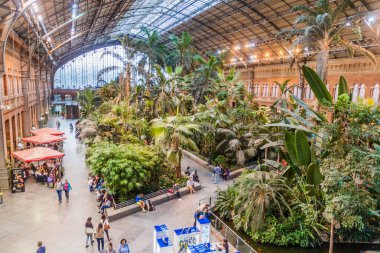 Madrid, İspanya - 22 Ekim 2017: Madrid, İspanya 'daki eski Atocha tren istasyonunda tropik bahçe