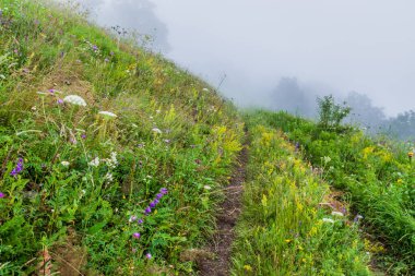 Ermenistan 'daki Dilijan Milli Parkı manzarası