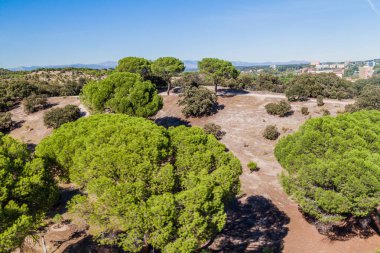 Madrid, İspanya 'daki Casa de Campo Parkı