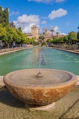Cordoba, İspanya - 5 Kasım 2017: Cordoba, İspanya 'daki Alcazar de los Reyes Cristianos havuzu