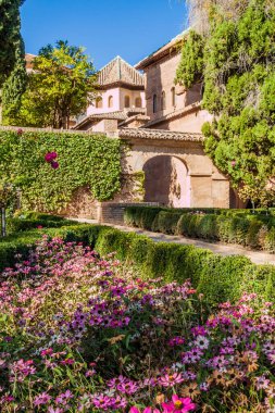 Alhambra 'da bahçe Granada, İspanya