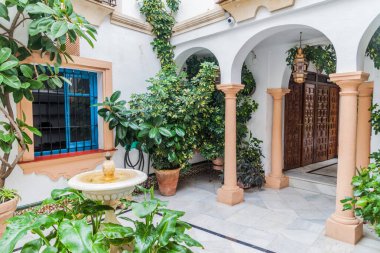 İspanya, Cordoba 'da geleneksel bir evin avlusu.