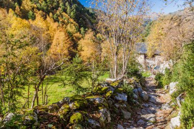 Stone path in Madriu-Perafita-Claror Valley, Andorra clipart