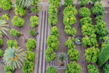 İspanya 'nın Cordoba Camii Katedrali (Mezquita-Katedrali)