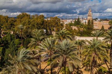 İspanya 'nın Cordoba şehrinin silueti