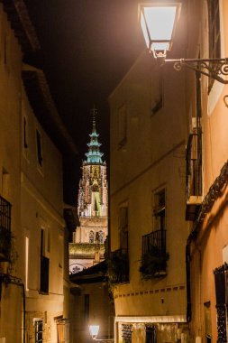 İspanya, Toledo 'daki katedralin gece manzarası