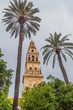 İspanya 'nın Cordoba Camii Katedrali (Mezquita-Katedrali)