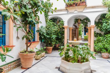 İspanya, Cordoba 'da geleneksel bir evin avlusu.