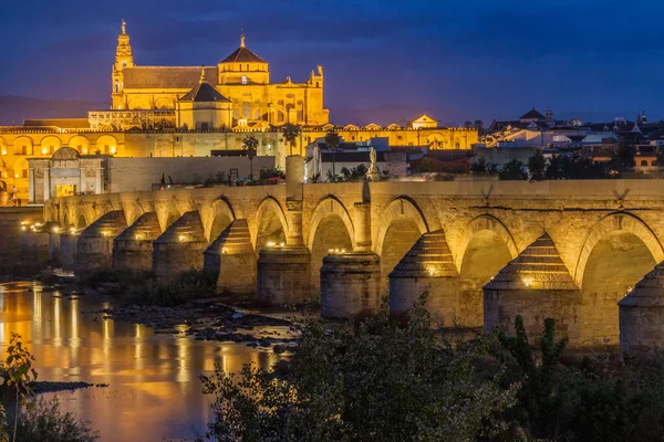 西班牙科尔多瓦清真寺 大教堂和罗马桥的夜景 — 图库照片