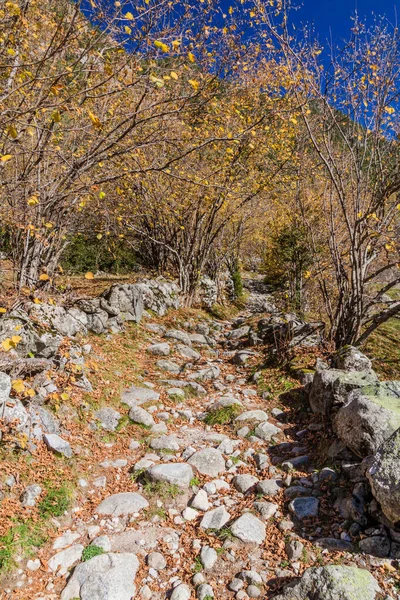 Caminhos Pedra Madriu Perafita Claror Valley Andorra — Fotografia de Stock