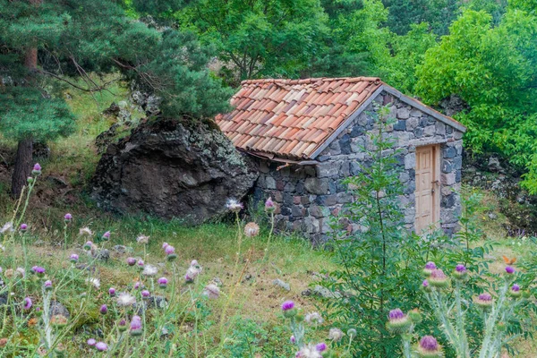 Небольшая Каменная Хижина Долине Реки Мтквари Грузия — стоковое фото