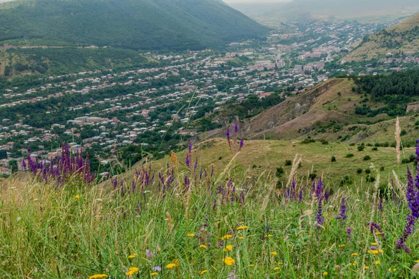 アルメニアゴリス町の牧草地と空中風景 — ストック写真
