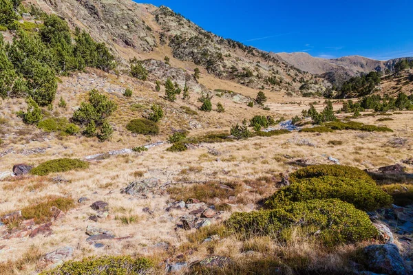 Andorra Daki Parc Natural Comunal Les Valls Del Comapedrosa Ulusal — Stok fotoğraf