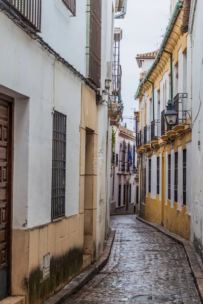 Callejón Estrecho Centro Córdoba España — Foto de Stock