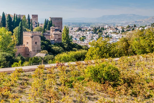 Viñedo Fortaleza Alhambra Granada España — Foto de Stock