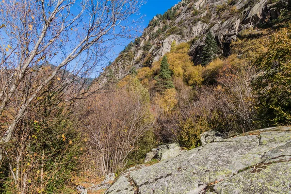 Bosque Madriu Perafita Valle Del Claror Andorra —  Fotos de Stock