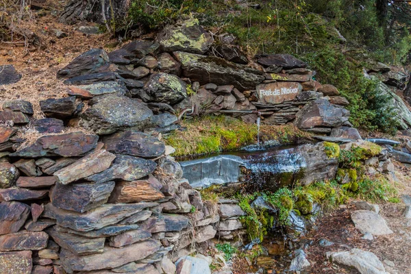 Printemps Dans Parc Naturel Comunal Les Valls Del Comapedrosa Parc — Photo