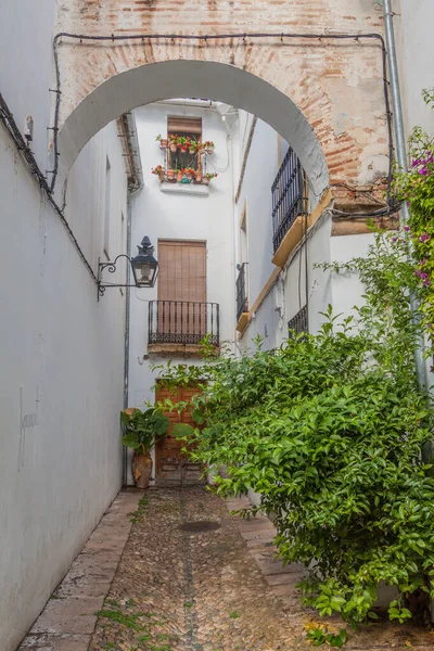 Calle Estrecha Centro Córdoba España — Foto de Stock