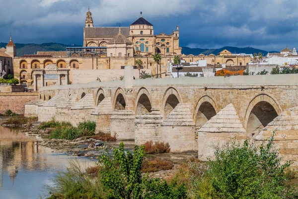 スペインのコルドバにあるモスク 大聖堂とローマ橋 — ストック写真