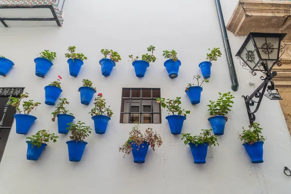 Wall Decorative Flower Pots Cordoba Spain — Stock Photo, Image