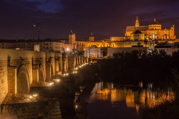 Vista Noturna Mesquita Catedral Ponte Romana Córdoba Espanha — Fotografia de Stock